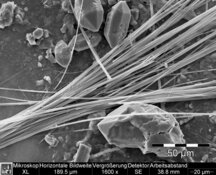 Image prise par un MEB du tremolite dans les crépis - 	 Résolution HD basse : 2576 x 1936 px / taille du fichier env. 4,8 Mo | © CRB Analyse Service GmbH