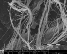 Chrysotile dans les colles bitumineuses noires brunâtres - Résolution standard 654 x 522 px / taille du fichier env. 0,35 Mo | © CRB Analyse Service GmbH