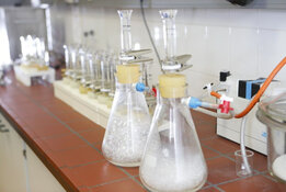 CRB GmbH | Préparation d’un échantillon d’asphalte pour l'analyse d'amiante 2 | © CRB Analyse Service GmbH