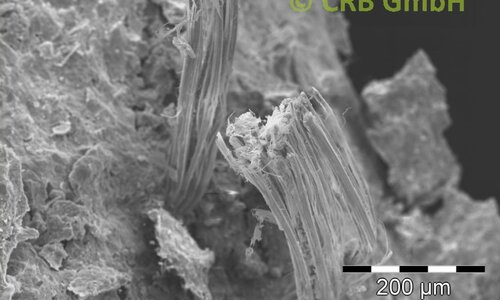 Amiante de chrysotile dans mortier, image MEB | © CRB Analyse Service GmbH